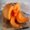 Zucca