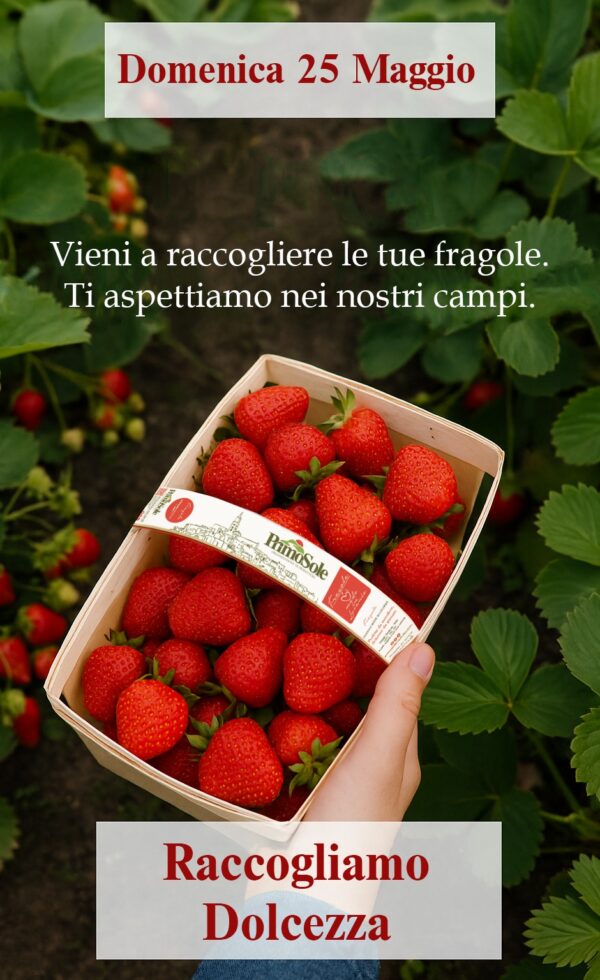 Raccogliamo Dolcezza